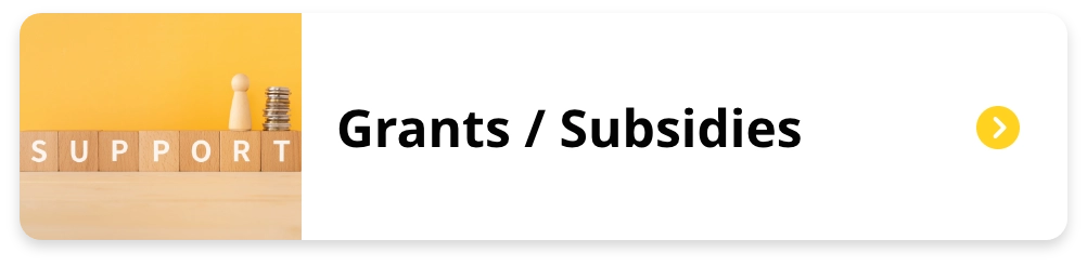 Grants / Subsidies